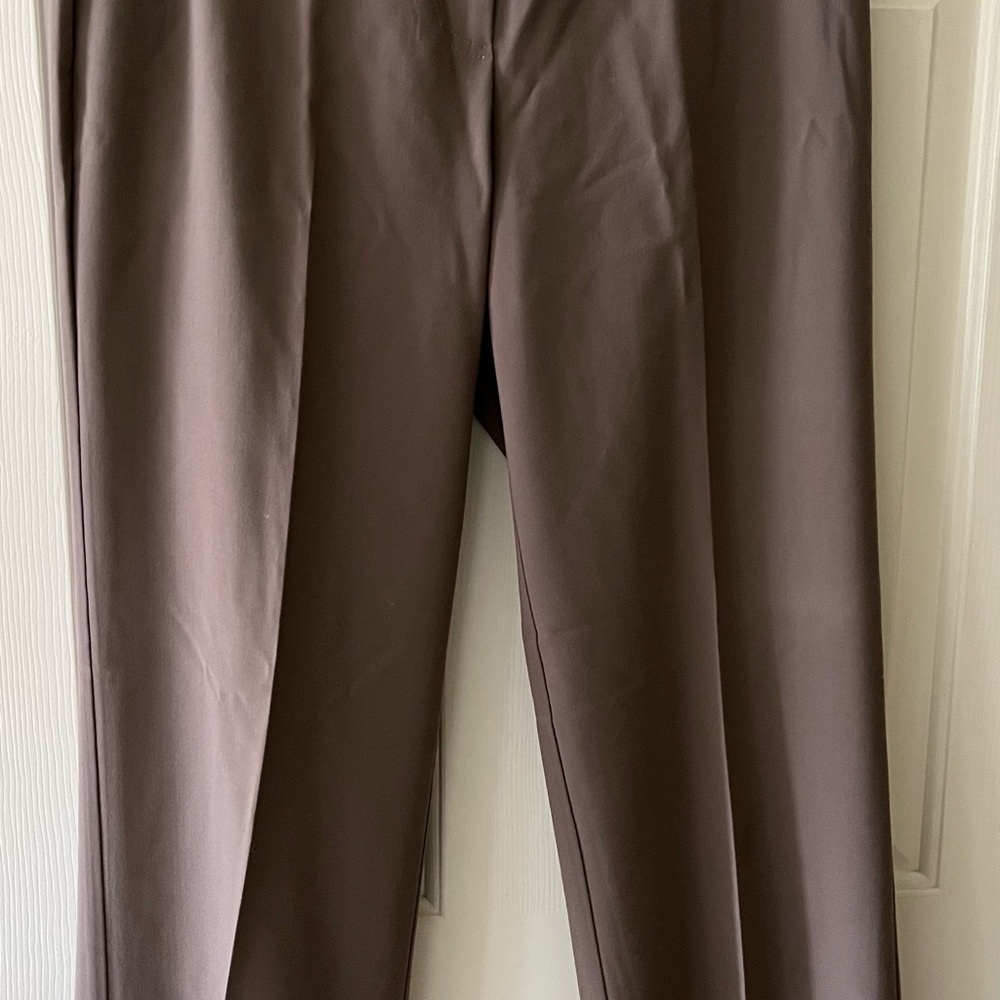 St. John Collection Tan Straight Leg Pants